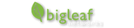 Bigleaf-Logo